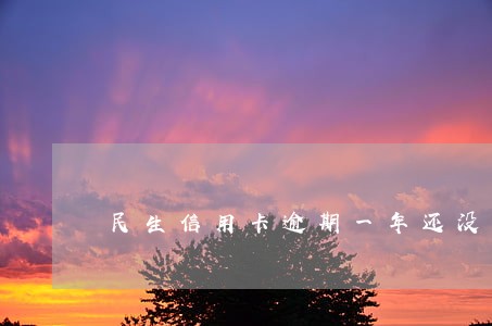 民生信用卡逾期一年还没停息