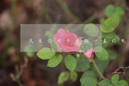 民生信用卡逾期一直打电话