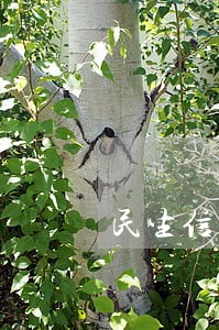 民生信用卡逾期七天冻结 民生信用卡逾期七天冻结