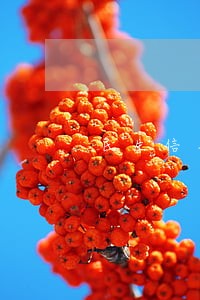 民生信用卡逾期三个多月