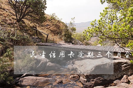 民生信用卡逾期三个月会上门吗