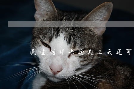 民生信用卡逾期三天还可以吗 民生信用卡逾期三天还可以吗