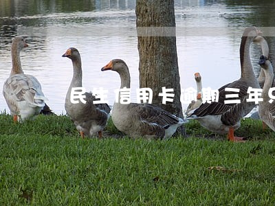 民生信用卡逾期三年只还本金