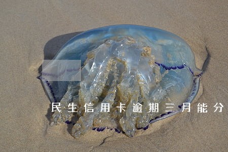民生信用卡逾期三月能分期吗 民生信用卡逾期三月能分期吗