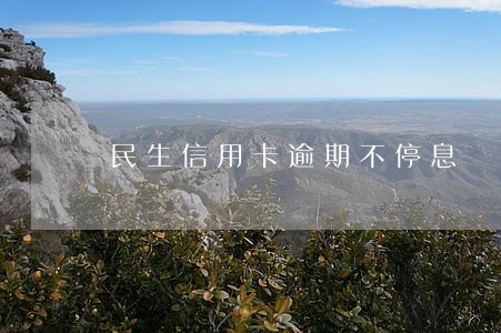 民生信用卡逾期不停息
