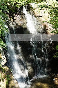 民生信用卡逾期不能支付 民生信用卡逾期不能支付