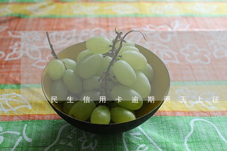 民生信用卡逾期两天上征信 民生信用卡逾期两天上征信