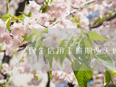 民生信用卡逾期两天停卡 民生信用卡逾期两天停卡