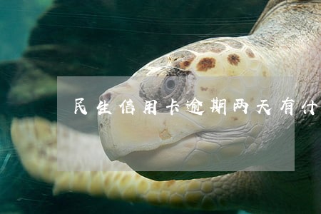 民生信用卡逾期两天有什么影响