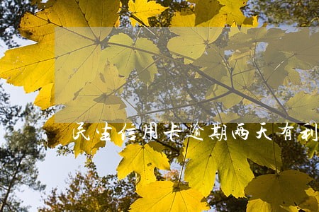 民生信用卡逾期两天有利息吗