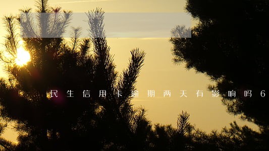 民生信用卡逾期两天有影响吗6 民生信用卡逾期两天有影响吗6