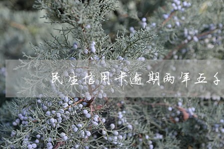 民生信用卡逾期两年五千本金