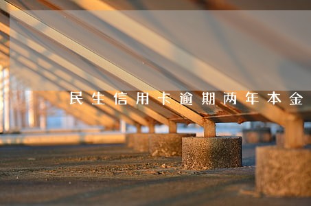 民生信用卡逾期两年本金五千