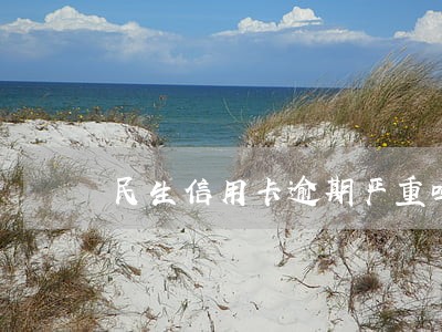 民生信用卡逾期严重吗 民生信用卡逾期严重吗