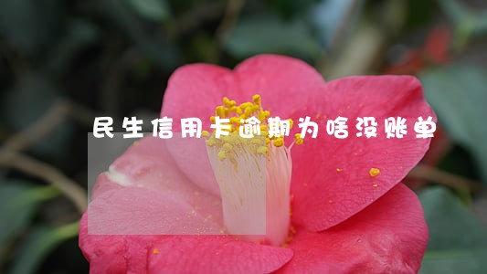 民生信用卡逾期为啥没账单 民生信用卡逾期为啥没账单