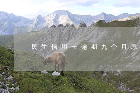 民生信用卡逾期九个月怎么办