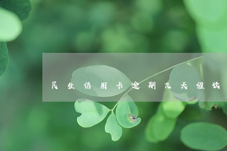 民生信用卡逾期九天催收