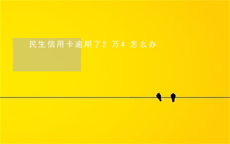 民生信用卡逾期了2万4怎么办 民生信用卡逾期了2万4怎么办