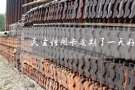 民生信用卡逾期了一天好多电话 民生信用卡逾期了一天好多电话