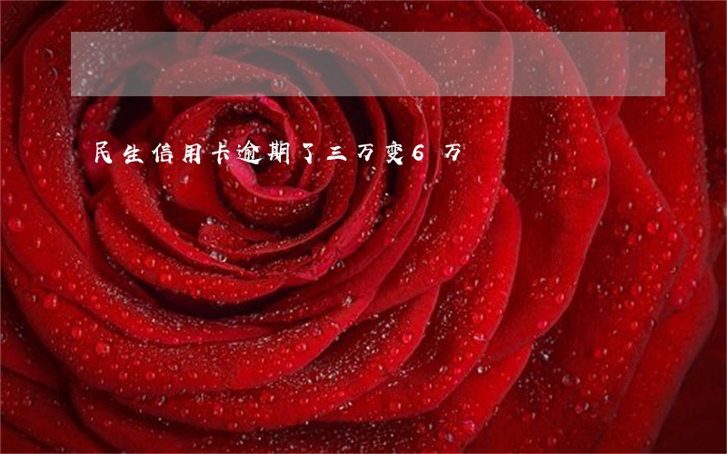 民生信用卡逾期了三万变6万