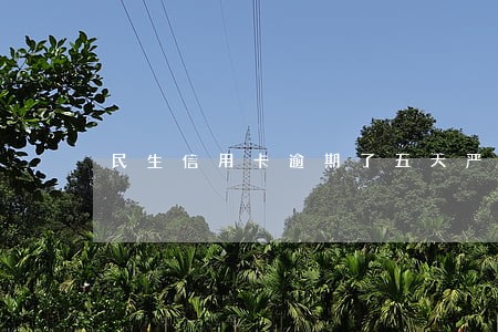 民生信用卡逾期了五天严重吗
