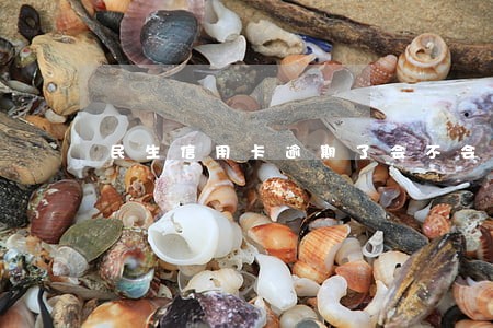 民生信用卡逾期了会不会被起诉 民生信用卡逾期了会不会被起诉