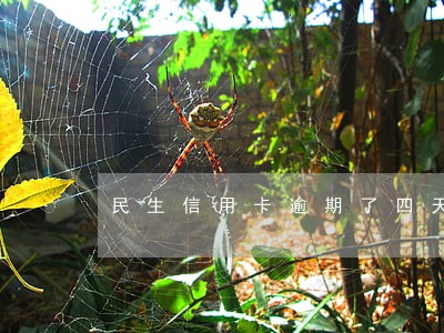 民生信用卡逾期了四天 民生信用卡逾期了四天