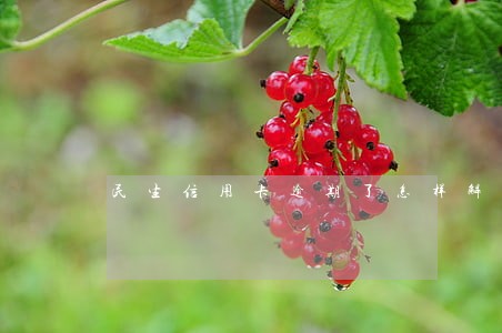 民生信用卡逾期了怎样解决