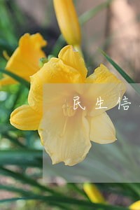民生信用卡逾期了有什么后果 民生信用卡逾期了有什么后果