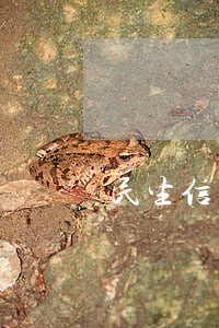 民生信用卡逾期了要不要上门 民生信用卡逾期了要不要上门