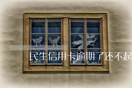 民生信用卡逾期了还不起怎么办 民生信用卡逾期了还不起怎么办
