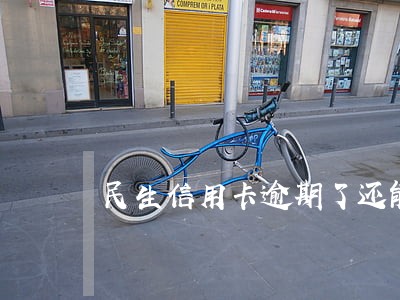 民生信用卡逾期了还能办吗 民生信用卡逾期了还能办吗