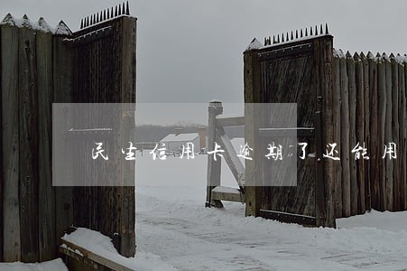 民生信用卡逾期了还能用 民生信用卡逾期了还能用