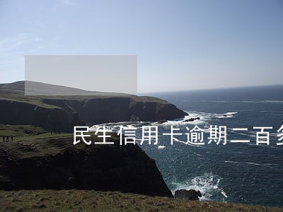 民生信用卡逾期二百多天 民生信用卡逾期二百多天