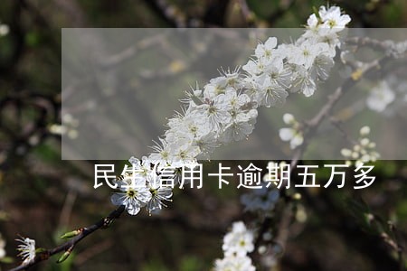 民生信用卡逾期五万多 民生信用卡逾期五万多