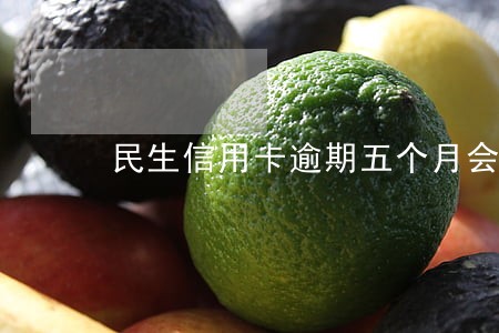 民生信用卡逾期五个月会上门吗