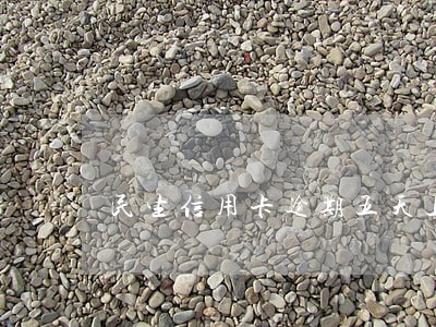 民生信用卡逾期五天上征信 民生信用卡逾期五天上征信