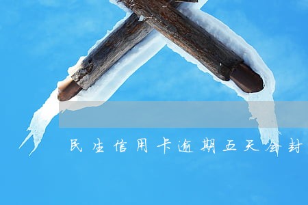 民生信用卡逾期五天会封卡吗 民生信用卡逾期五天会封卡吗