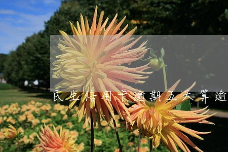 民生信用卡逾期五天算逾期吗 民生信用卡逾期五天算逾期吗