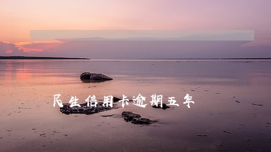 民生信用卡逾期五年 民生信用卡逾期五年