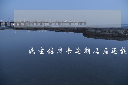 民生信用卡逾期以后还能用吗