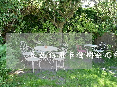 民生信用卡逾期会冻结吗 民生信用卡逾期会冻结吗