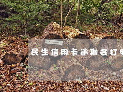 民生信用卡逾期会打电话说要上门 民生信用卡逾期会打电话说要上门