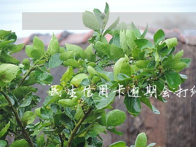 民生信用卡逾期会打给通讯录吗 民生信用卡逾期会打给通讯录吗