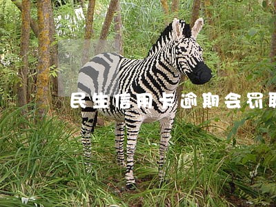 民生信用卡逾期会罚联系人吗 民生信用卡逾期会罚联系人吗
