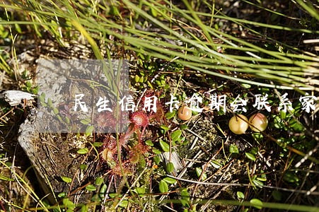 民生信用卡逾期会联系家人么 民生信用卡逾期会联系家人么