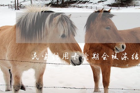 民生信用卡逾期会被冻结吗 民生信用卡逾期会被冻结吗