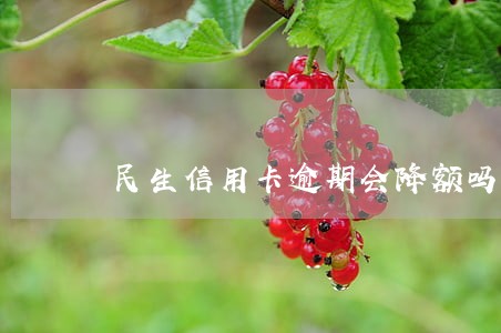 民生信用卡逾期会降额吗