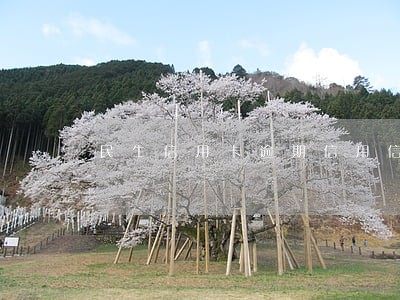 民生信用卡逾期信用信息录入
