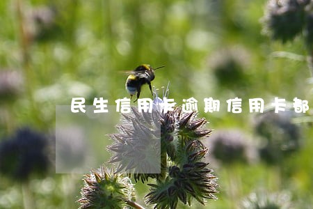 民生信用卡逾期信用卡都注销了